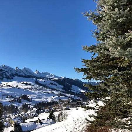 Chalet Hockli